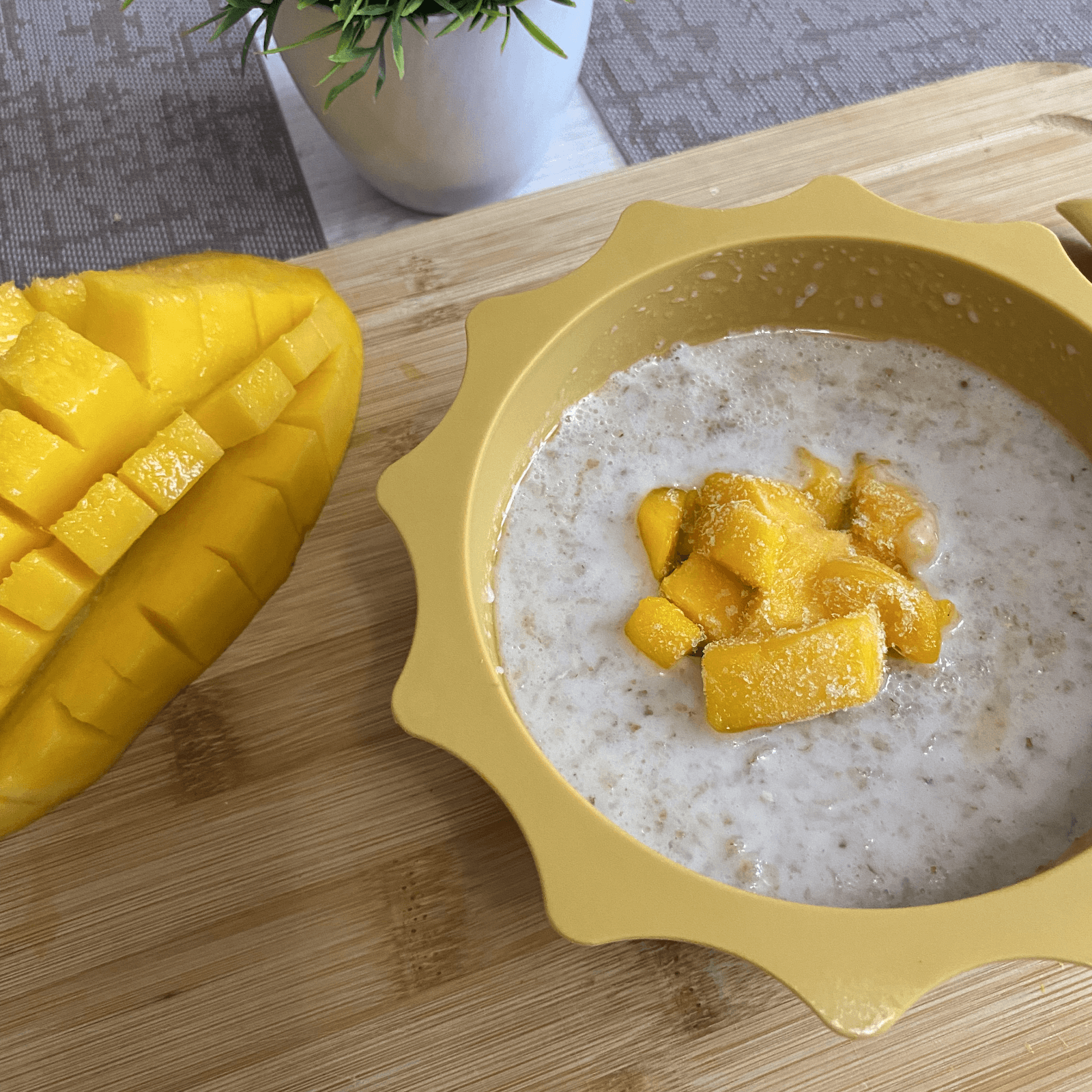 Dairy-free Porridge