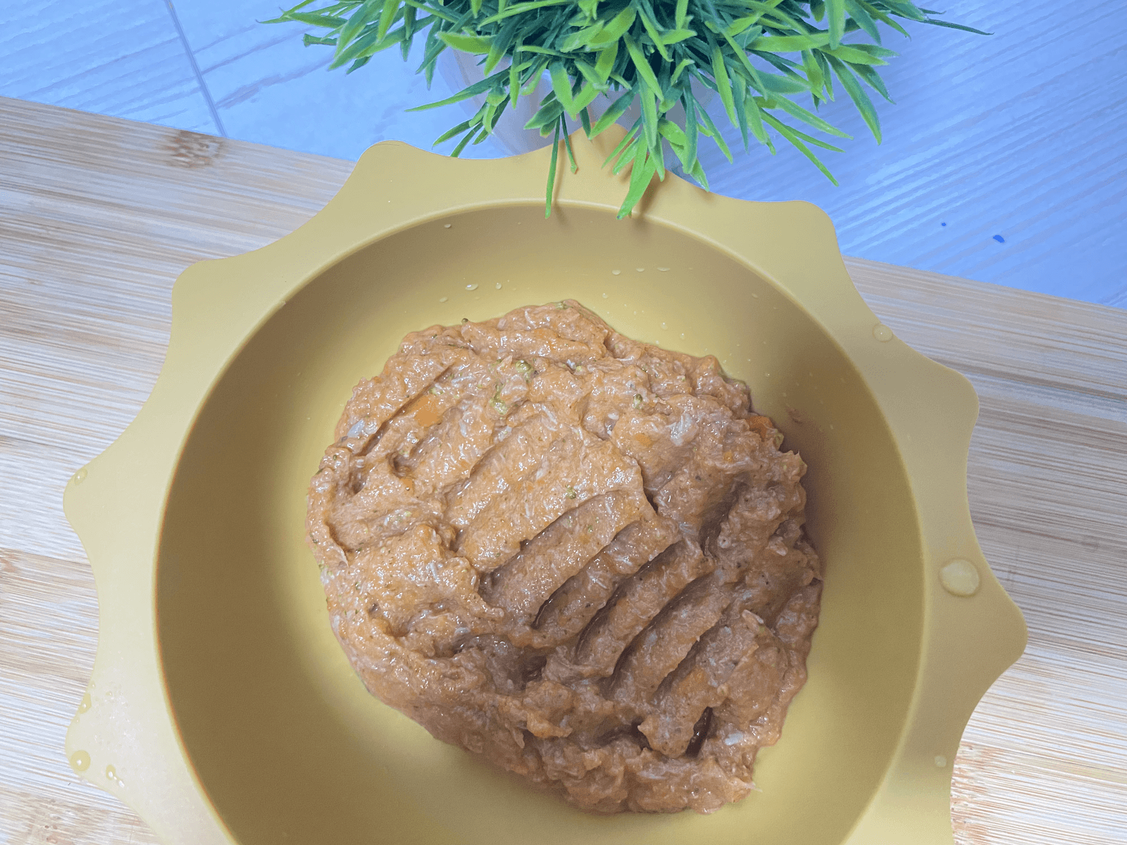 Beef Puree